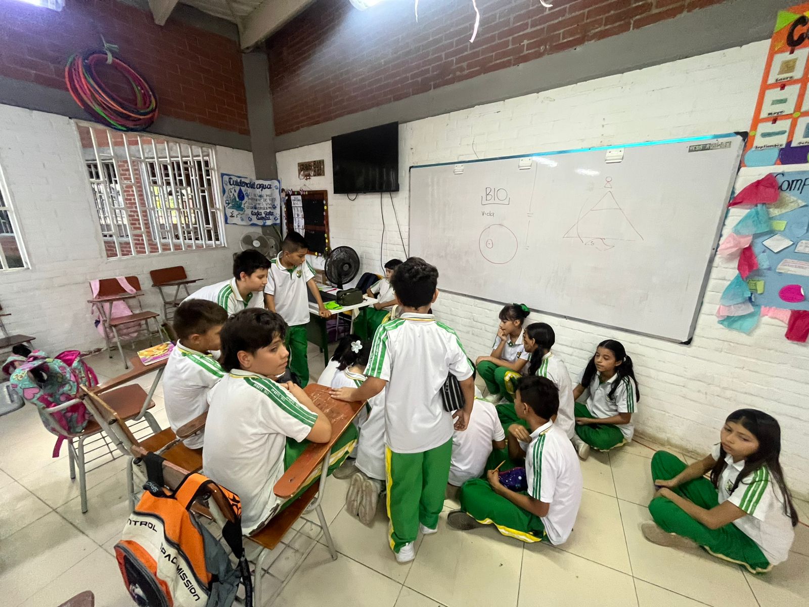Registro del proyecto