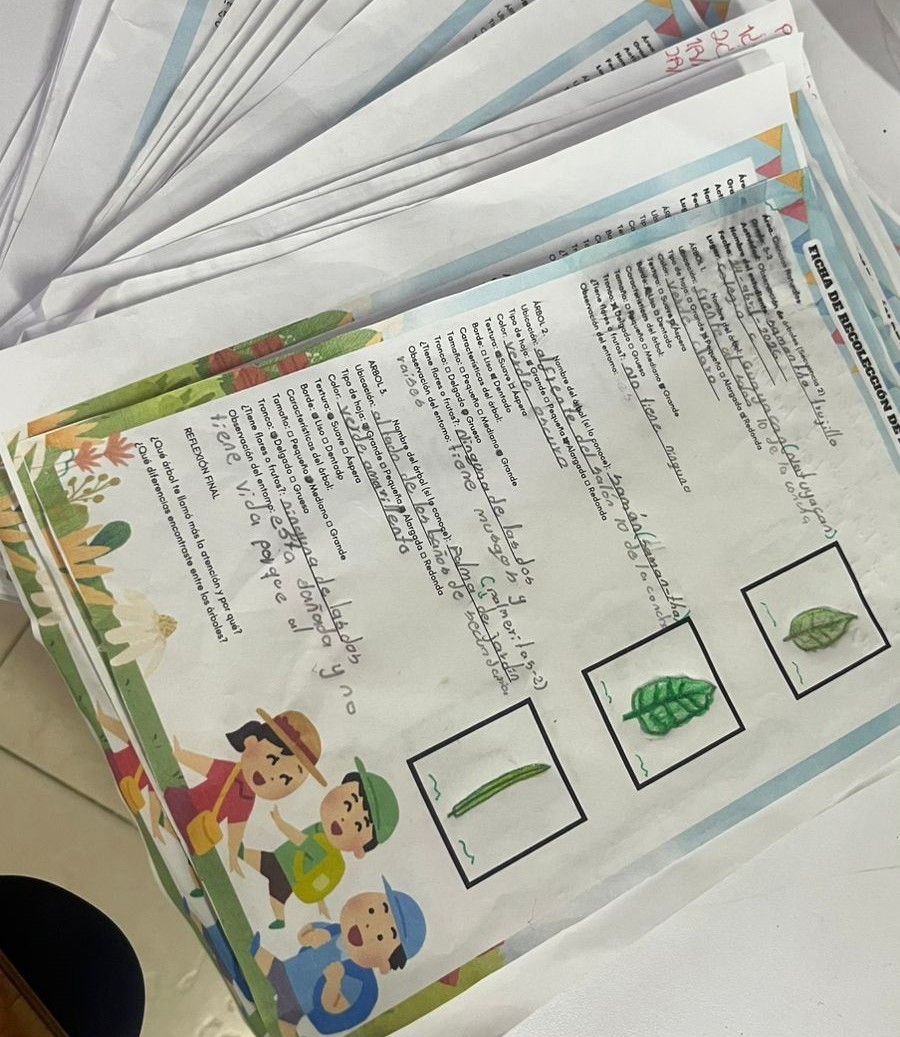 Registro Fotográfico